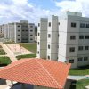 Obra Entregue Flores